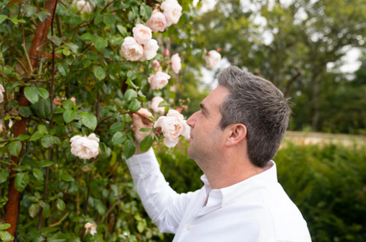 Nature in Scent by Simon Constantine
