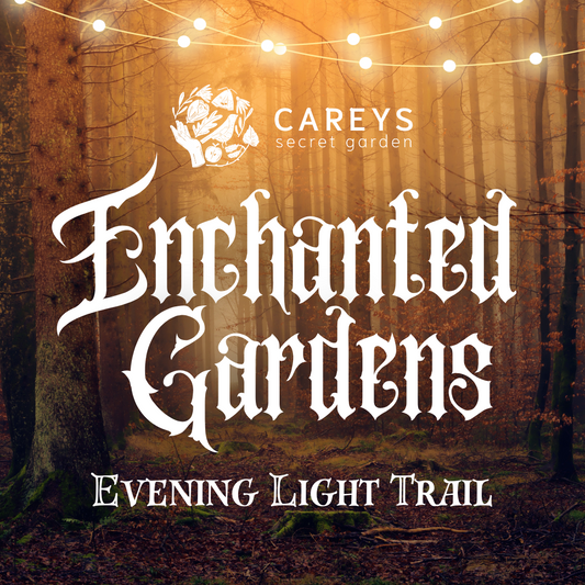 Enchanted Gardens Light Trail Winter 2025