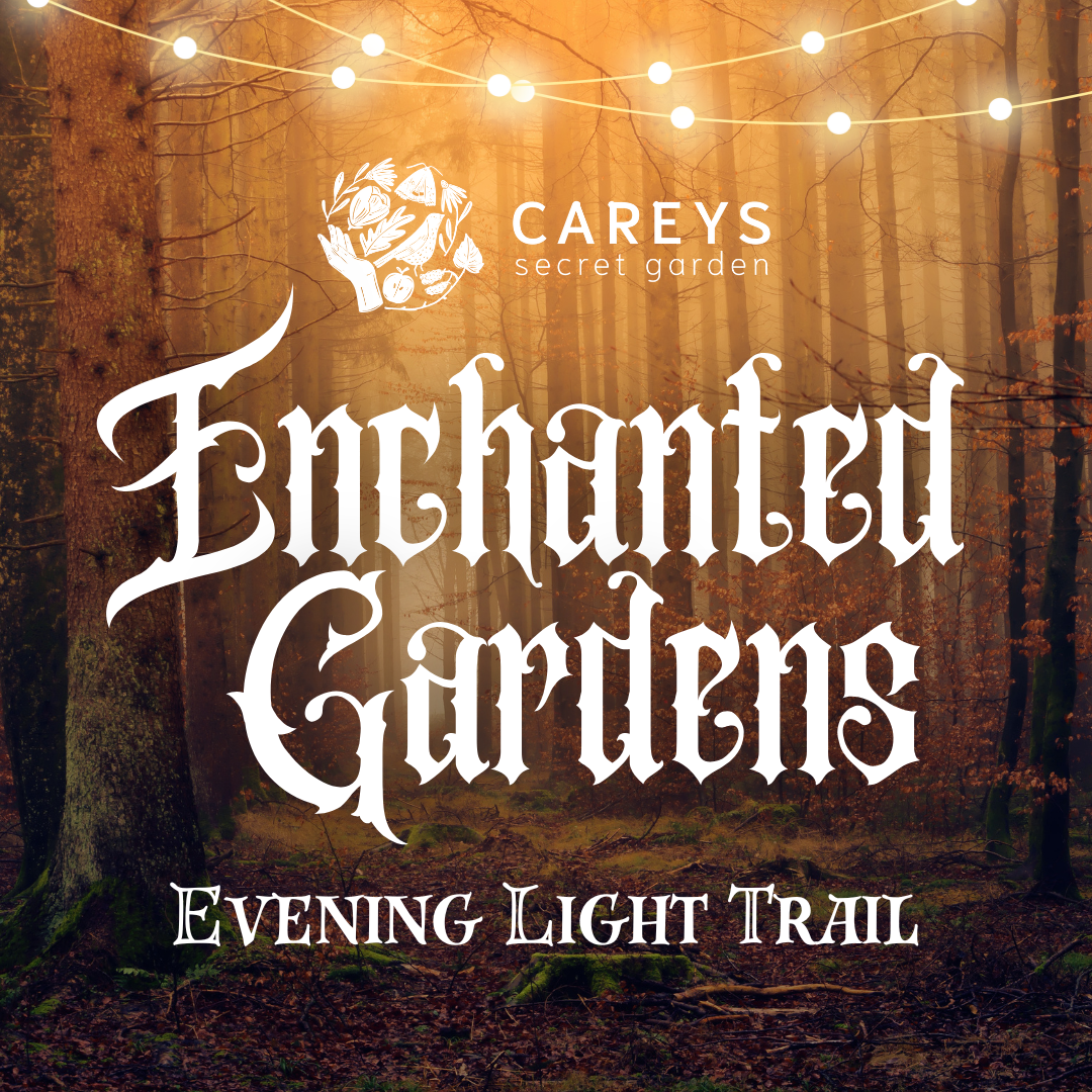 Enchanted Gardens Light Trail Winter 2025