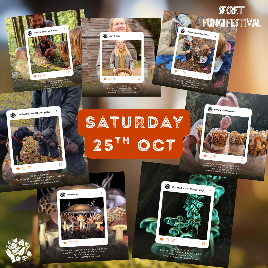 Secret Fungi Festival 2025