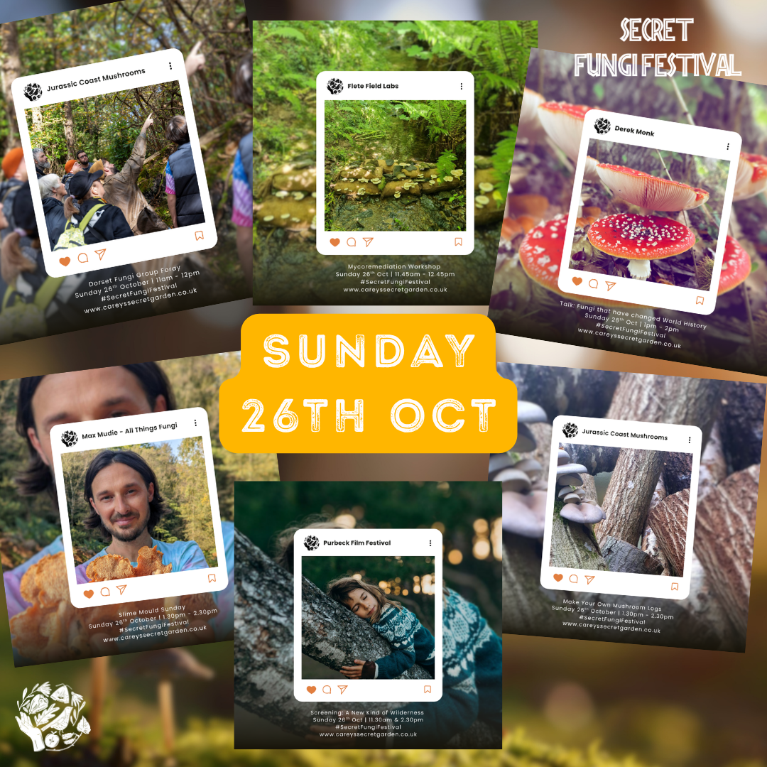 Secret Fungi Festival 2025