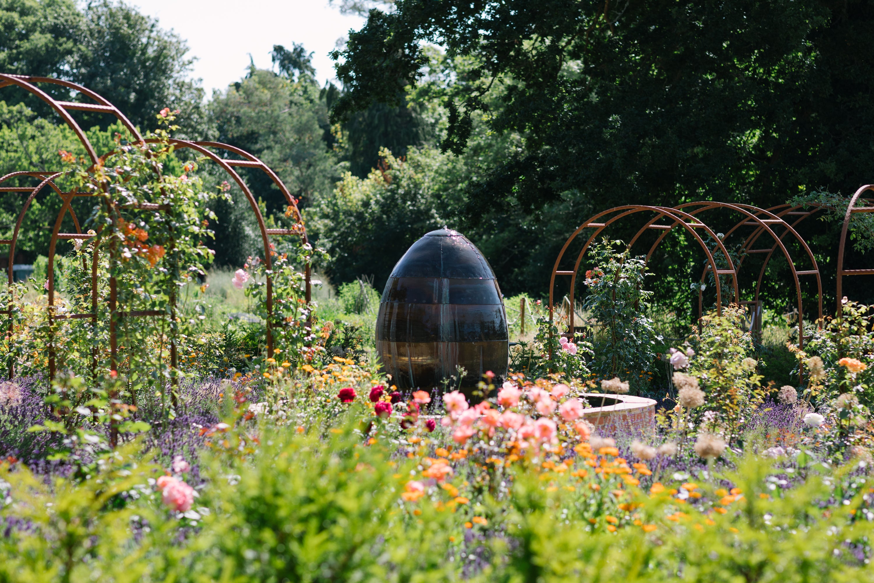 Carey’s Rose Wheel in full bloom, with vibrant roses surrounding a central water feature, creating a stunning focal point in the garden’s landscape