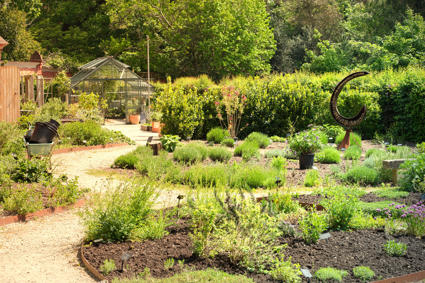 Garden Photography Workshop Saturday 22nd August