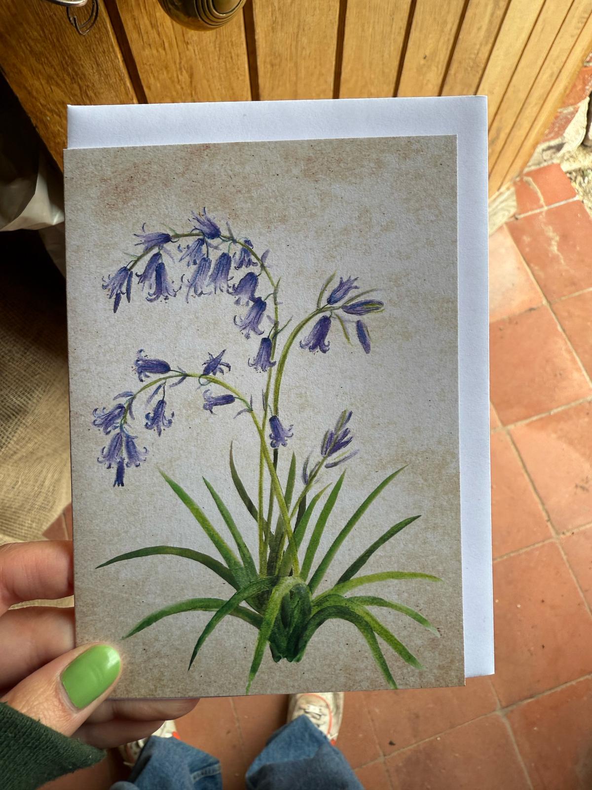 Delphine Jones Bluebell Card