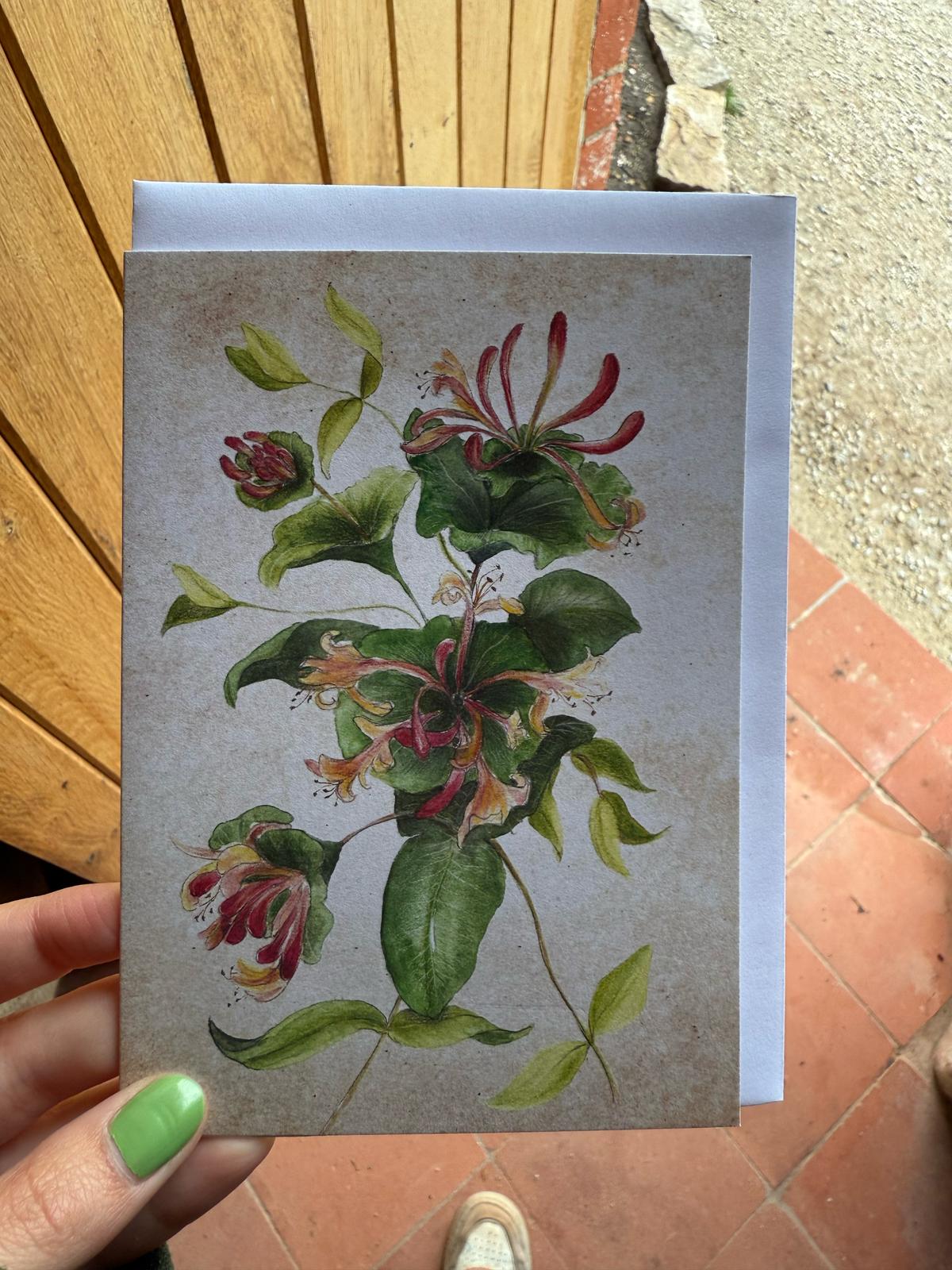 Delphine Jones Honeysuckle Card