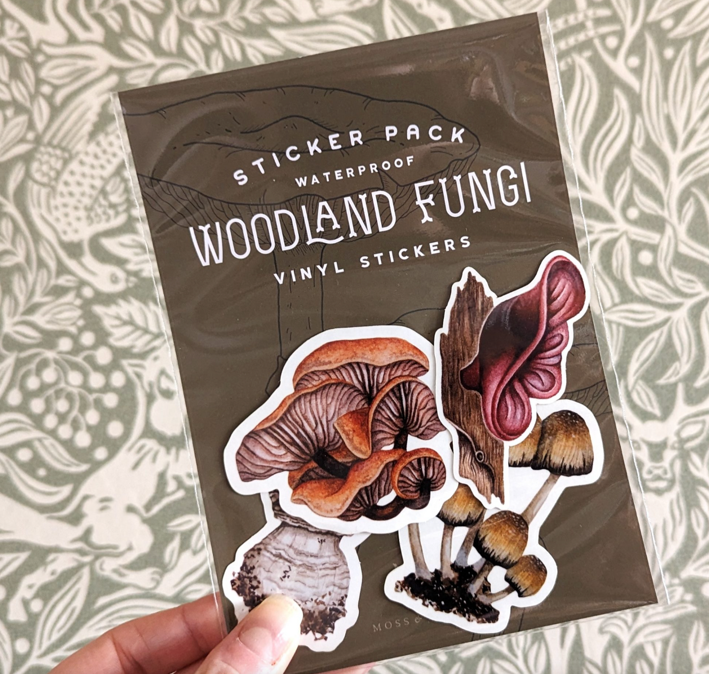Fungi sticker pack by Moss and Morcella, featuring detailed illustrations of mushrooms, capturing the natural beauty and intricate design of various fungi species.