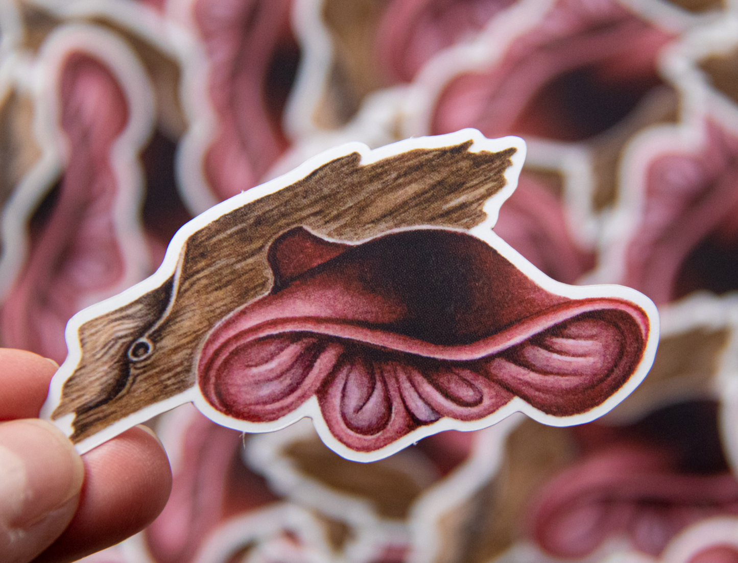 Fungi sticker by Moss and Morcella, featuring a detailed illustration of mushrooms, capturing the natural beauty and intricate design of various fungi species.