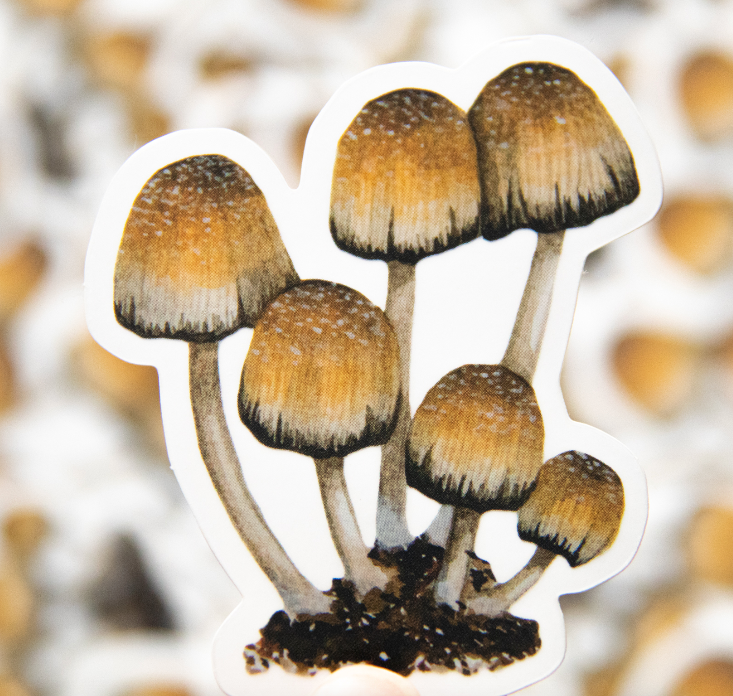 Fungi sticker by Moss and Morcella, featuring a detailed illustration of mushrooms, capturing the natural beauty and intricate design of various fungi species.