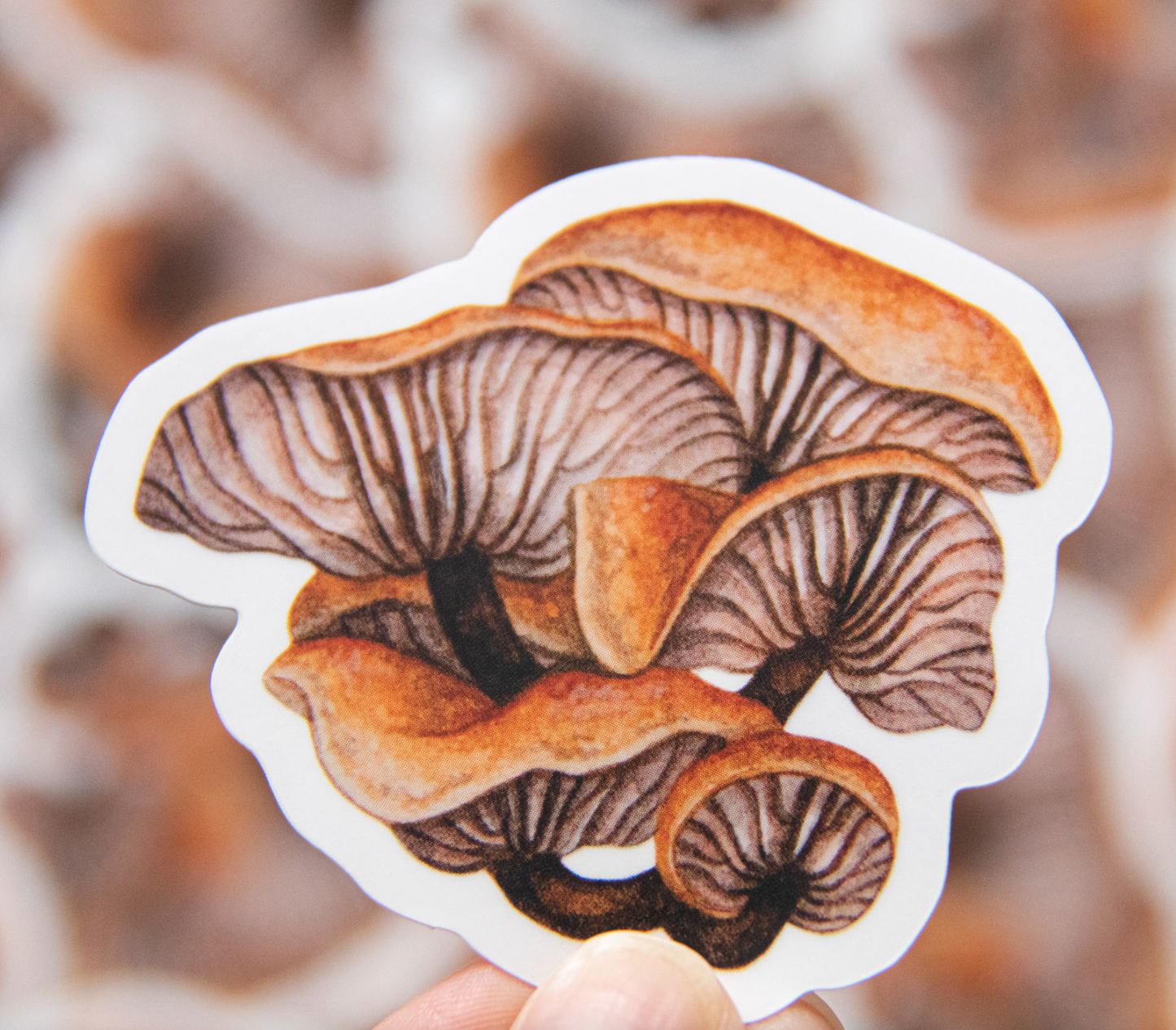 Fungi sticker by Moss and Morcella, featuring a detailed illustration of mushrooms, capturing the natural beauty and intricate design of various fungi species.