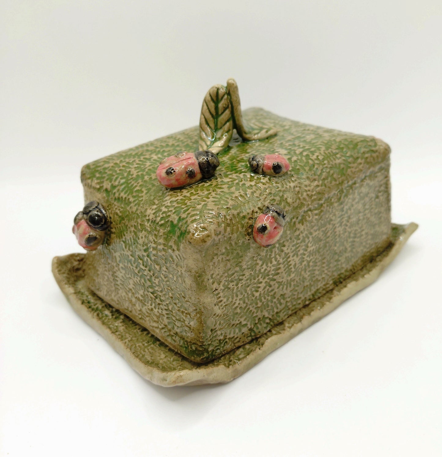 Butter Dish Pottery Class Sat 18th Oct 2025