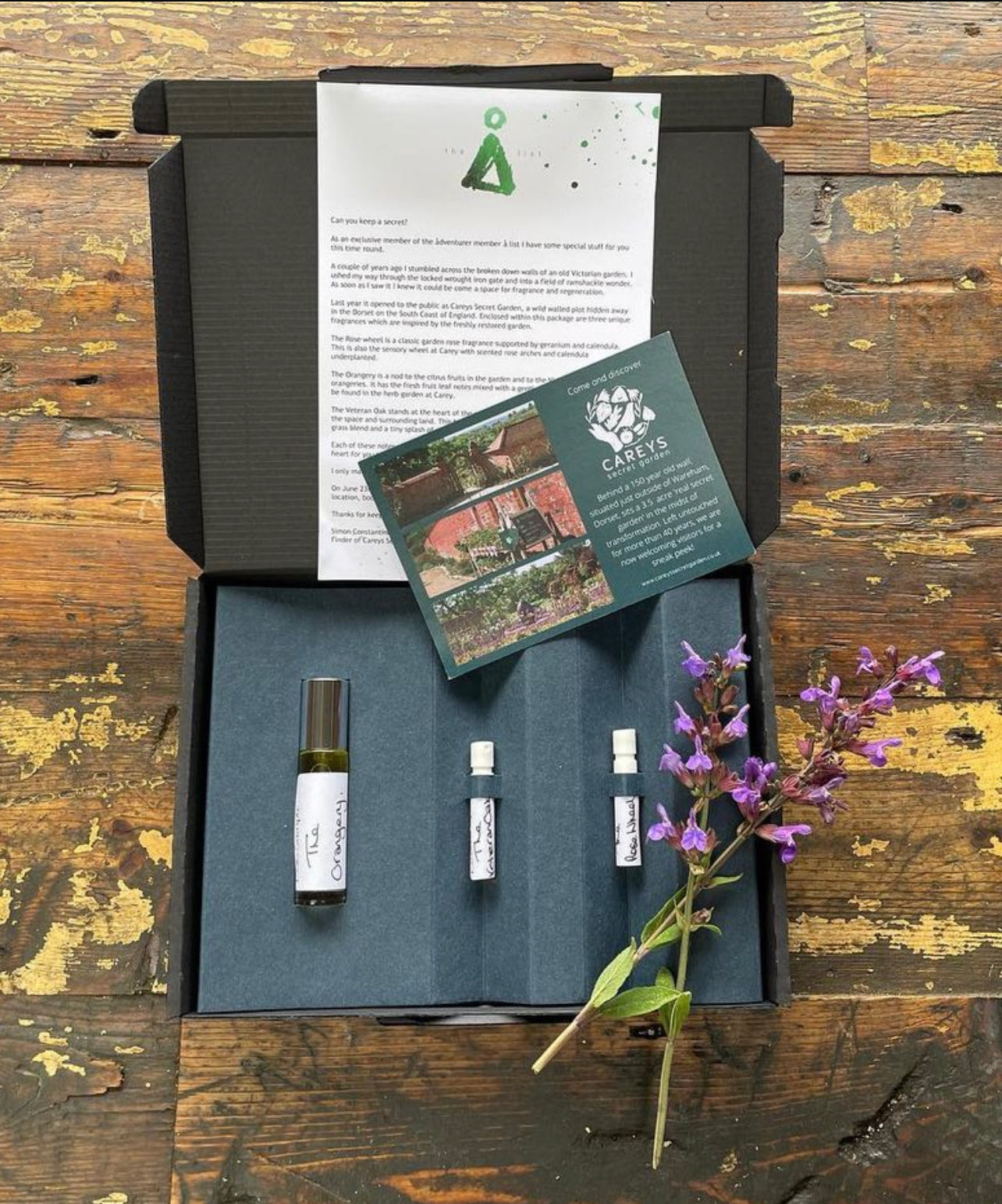 The Careys fragrance range by ånd fragrance, featuring ethical perfumes inspired by the gardens. The collection is presented in minimalist, eco-friendly cardboard packaging reflecting the brand’s commitment to sustainability.