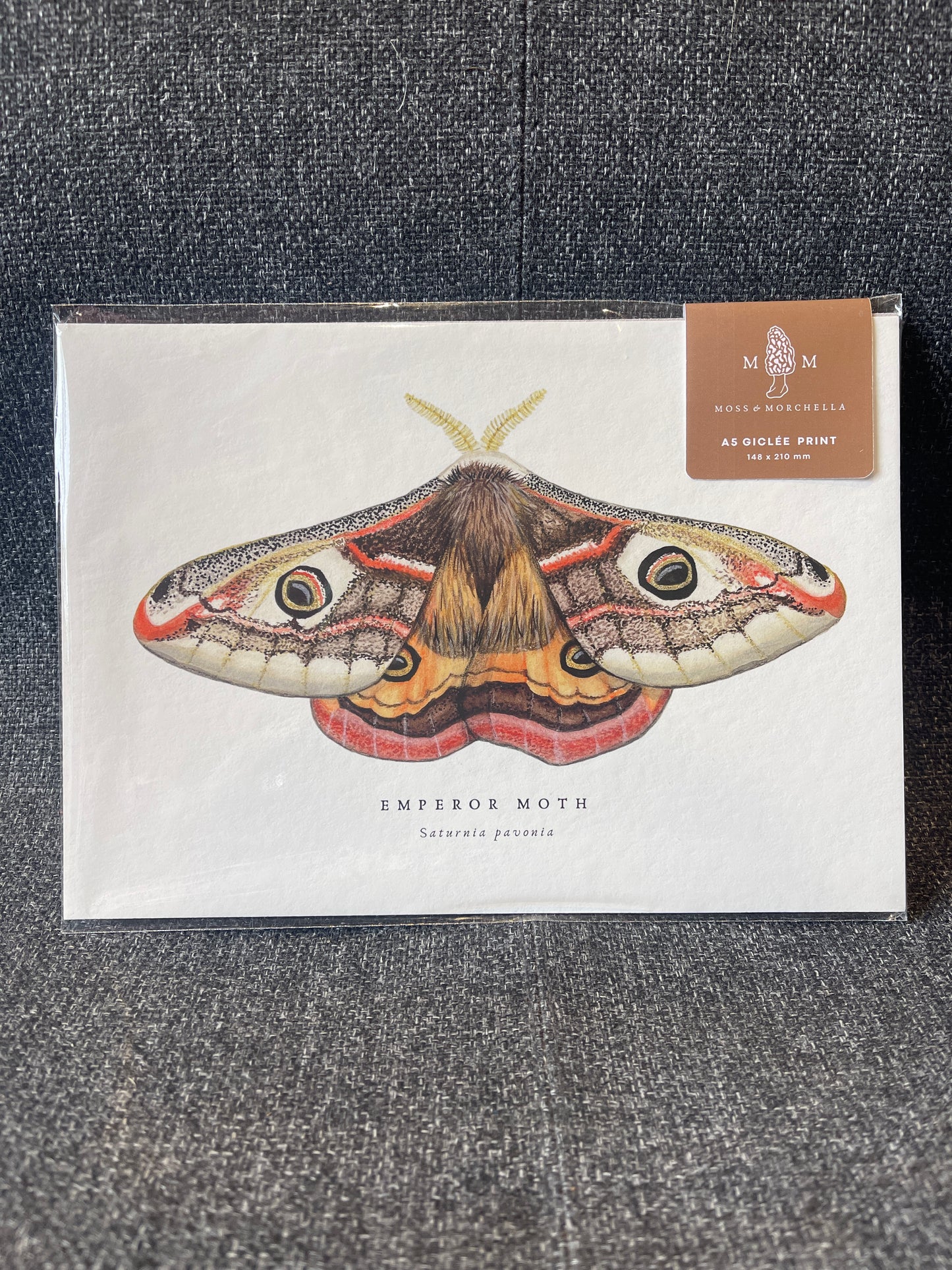 A5 Art Prints by Moss and Morchella