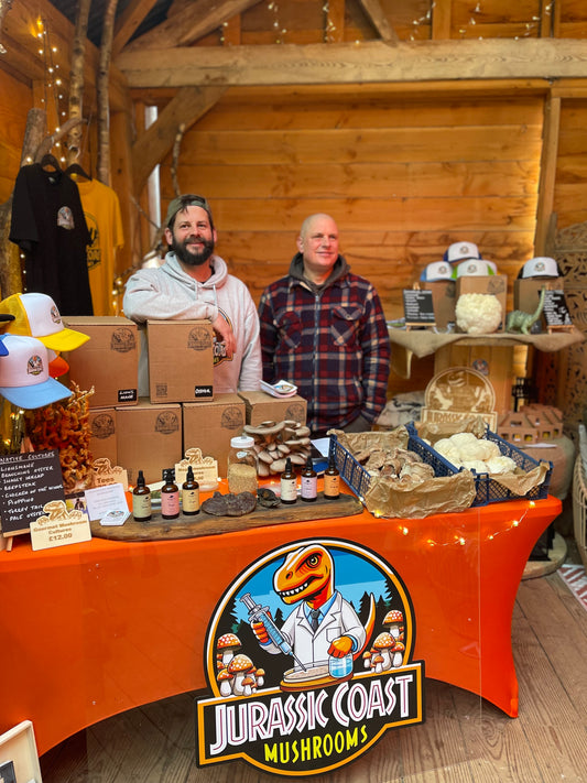 Careys Ethical Christmas Market