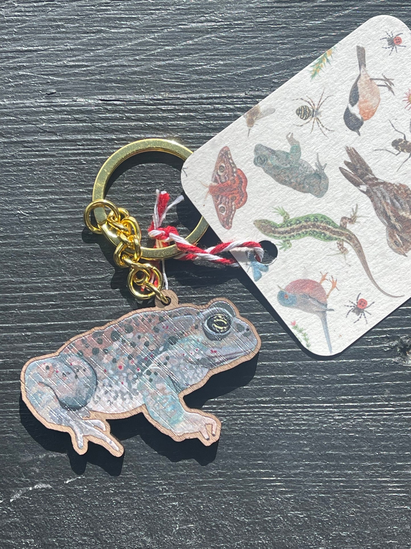 Natterjack Toad Wooden Keyring by Viv Hughes
