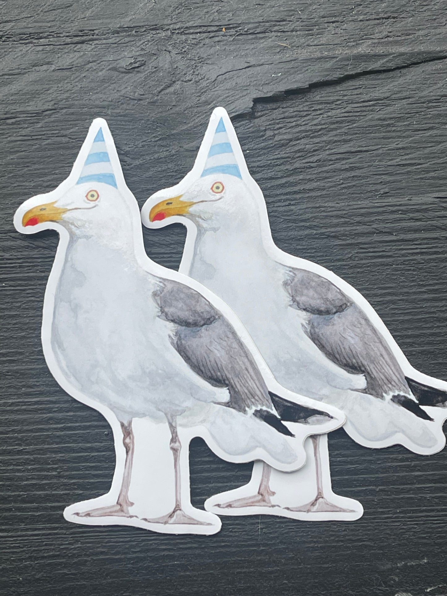 Party Seagull Sticker by Viv Hughes