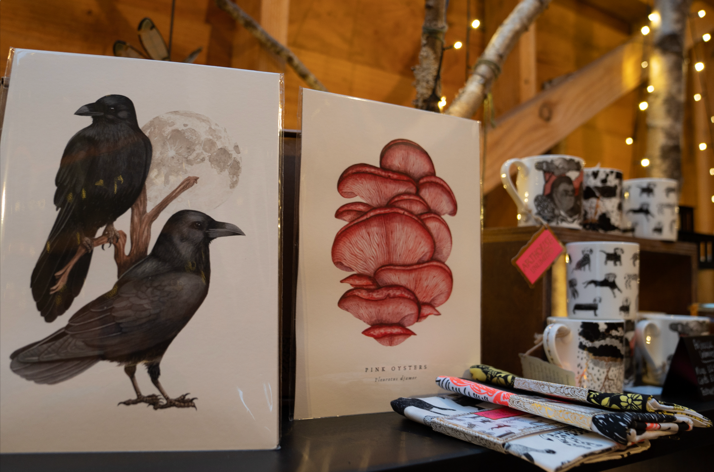 Careys Ethical Christmas Market