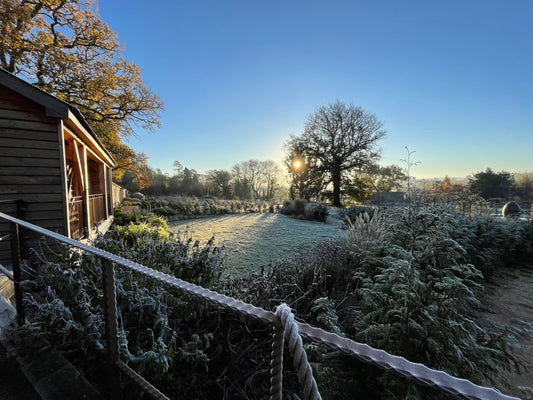 Winter Coffee Mornings at Careys 2026