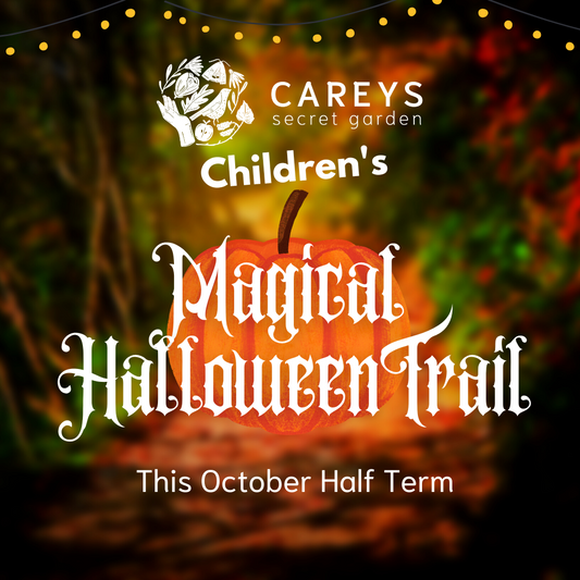 Magical Halloween Trail at Careys on Friday 31st Oct 2025