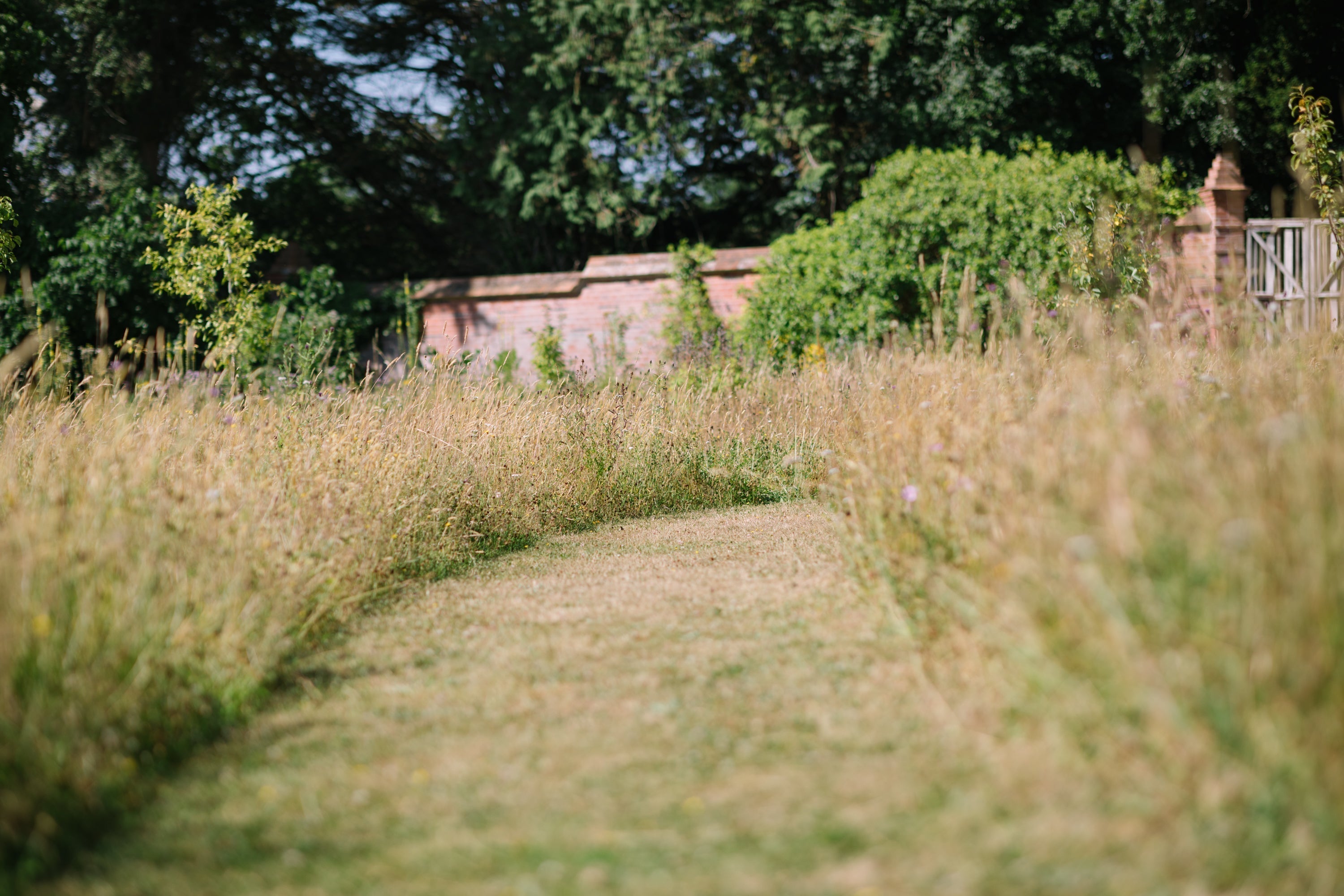 Still Gardening in a Changing Climate