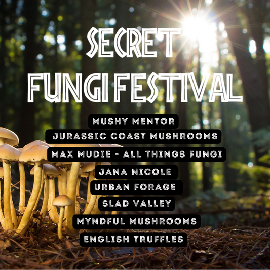 Secret Fungi Festival 2025
