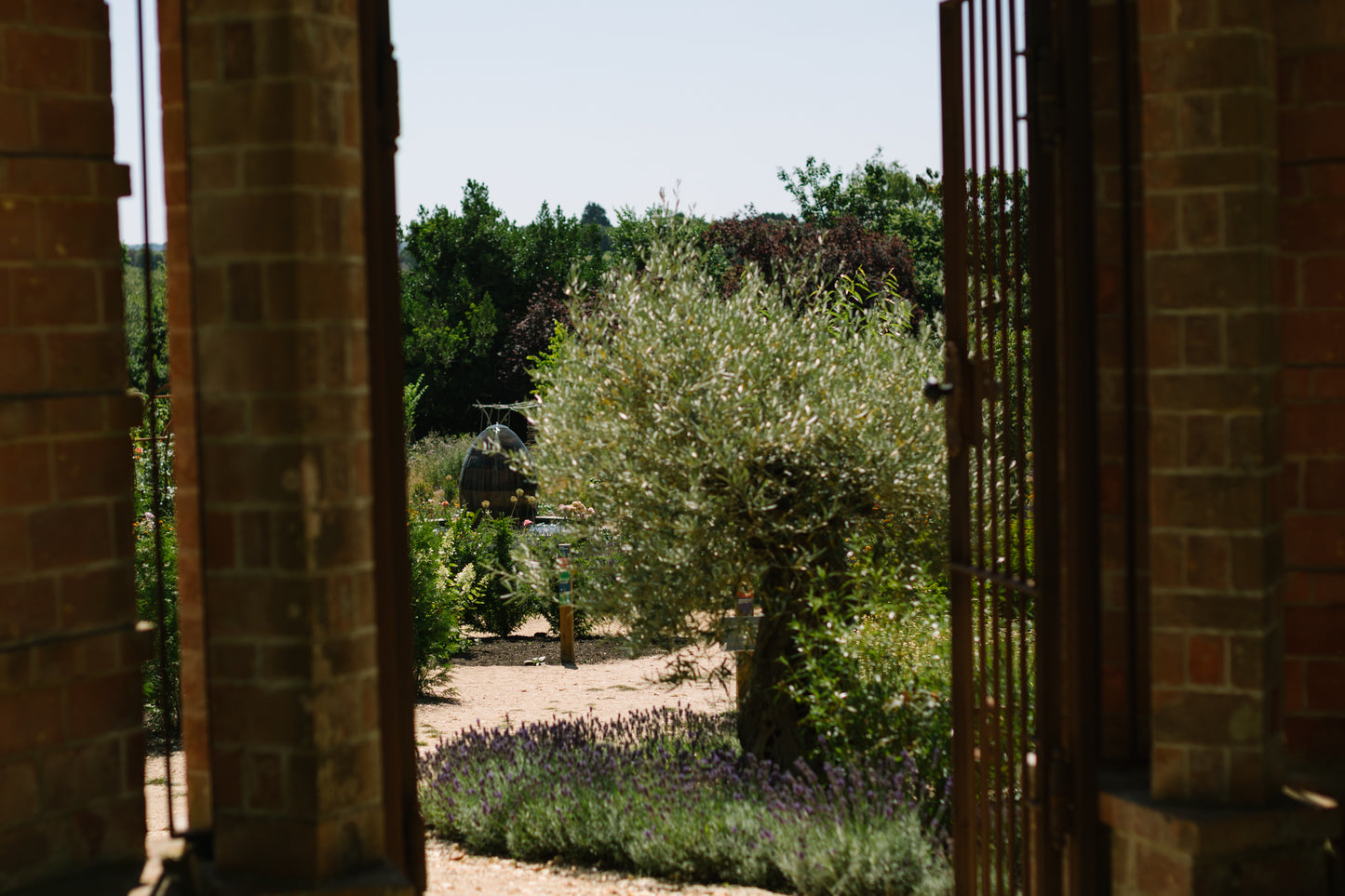 Behind the Scenes at Careys Secret Garden: Historic Garden Tour & Estate Walk