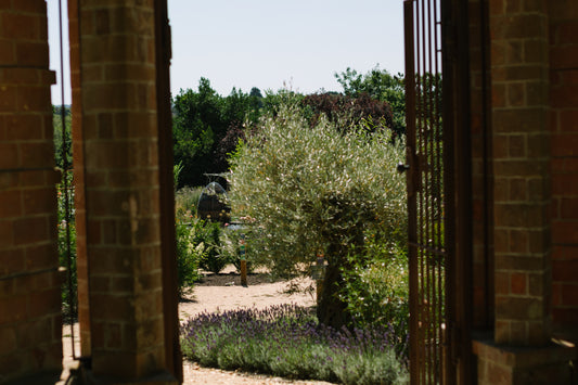 Behind the Scenes at Careys Secret Garden: Historic Garden Tour & Estate Walk
