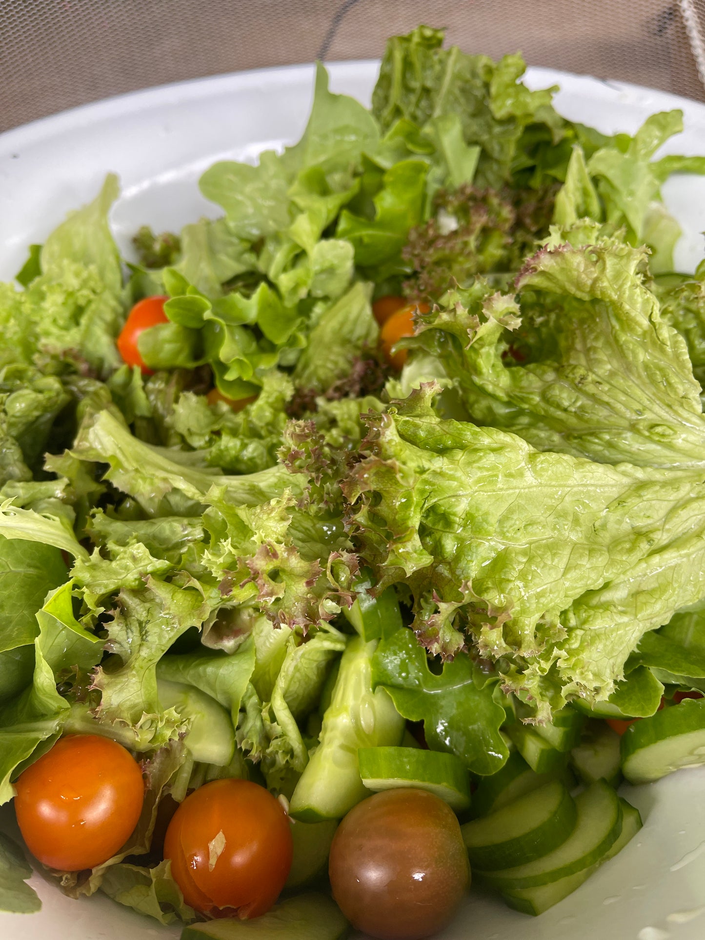 Garden Salad