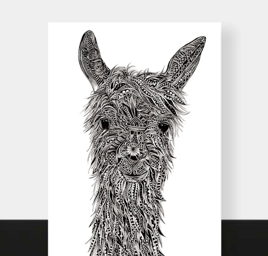 Alpaca card by Pia Elliot, featuring an intricate, detailed design of an Alpaca 
