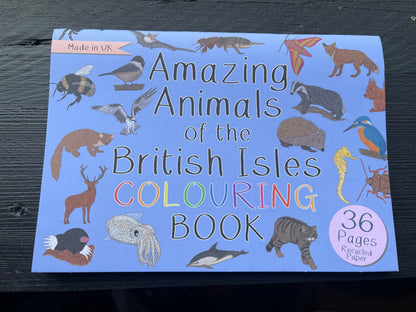 Wildlife Colouring Books by Button and Squirt