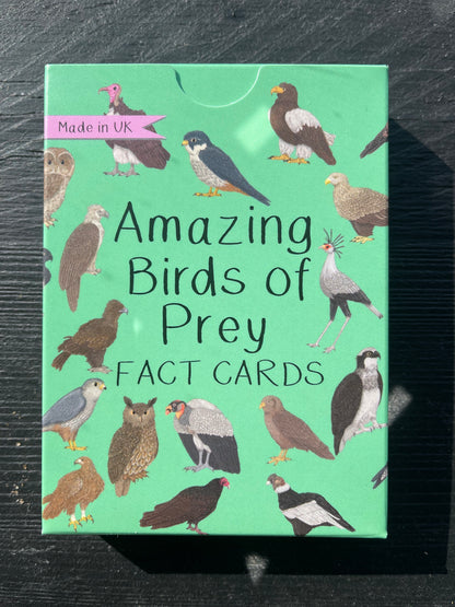 Amazing Fact Cards by Button and Squirt