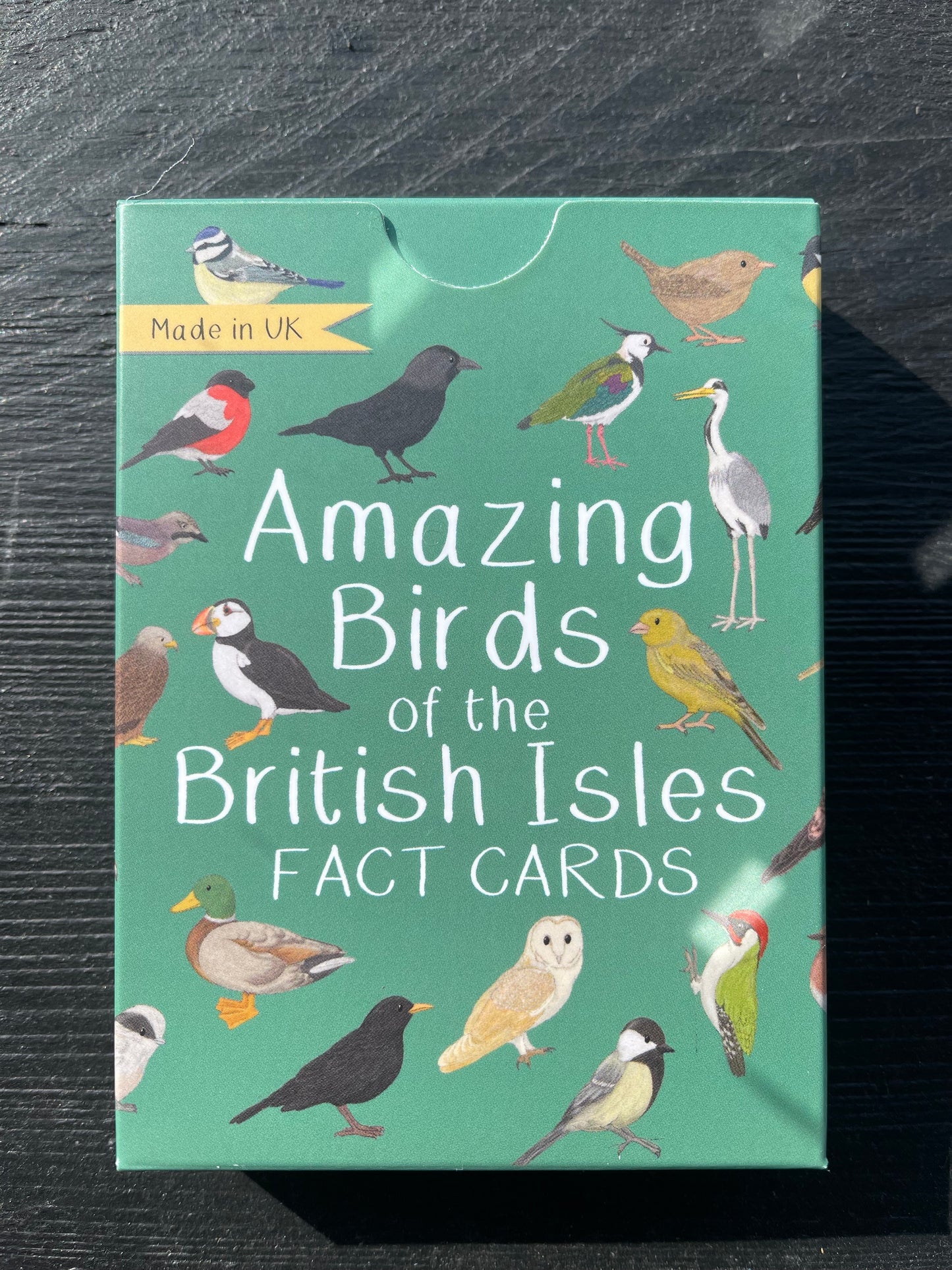Amazing Fact Cards by Button and Squirt