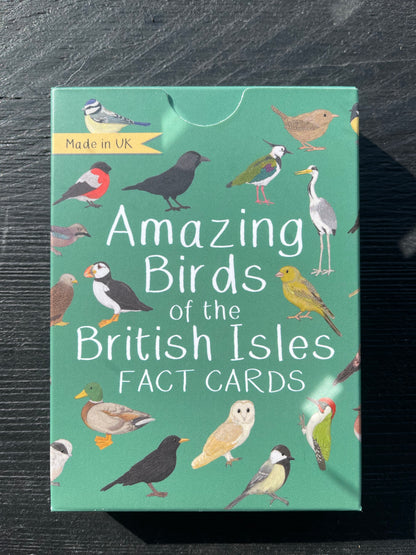 Amazing Fact Cards by Button and Squirt