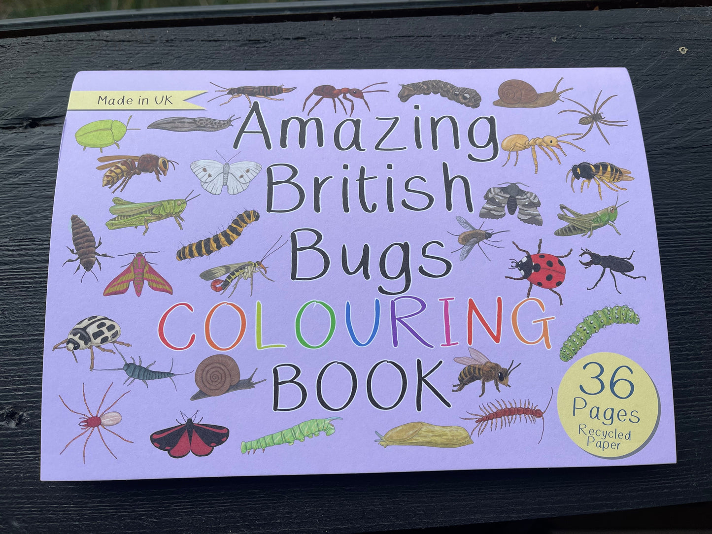 Wildlife Colouring Books by Button and Squirt