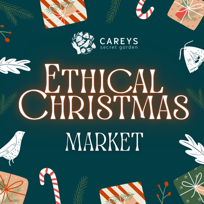 Careys Ethical Christmas Market Saturday 14th November