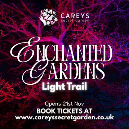 Enchanted Gardens Light Trail Winter 2025
