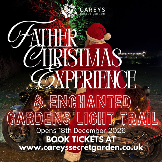 Father Christmas Experience December 2026