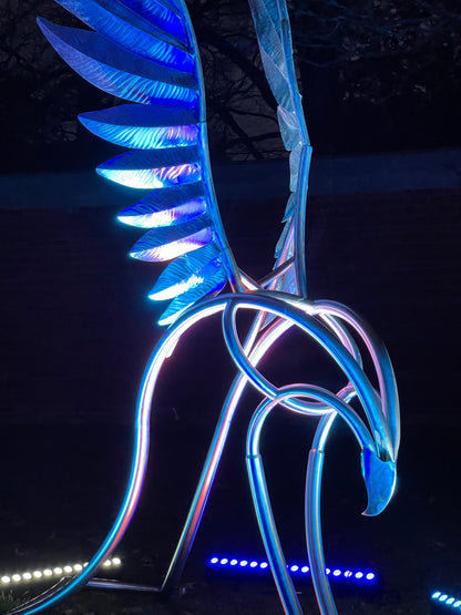 Enchanted Gardens Light Trail Winter 2025