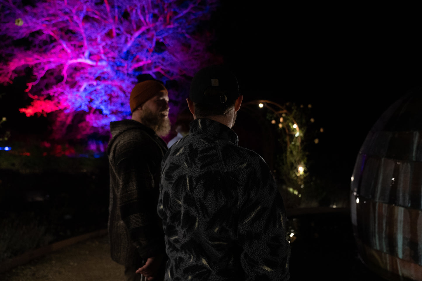 Enchanted Gardens Light Trail Winter 2025