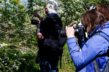 Garden Photography Workshop Saturday 22nd August