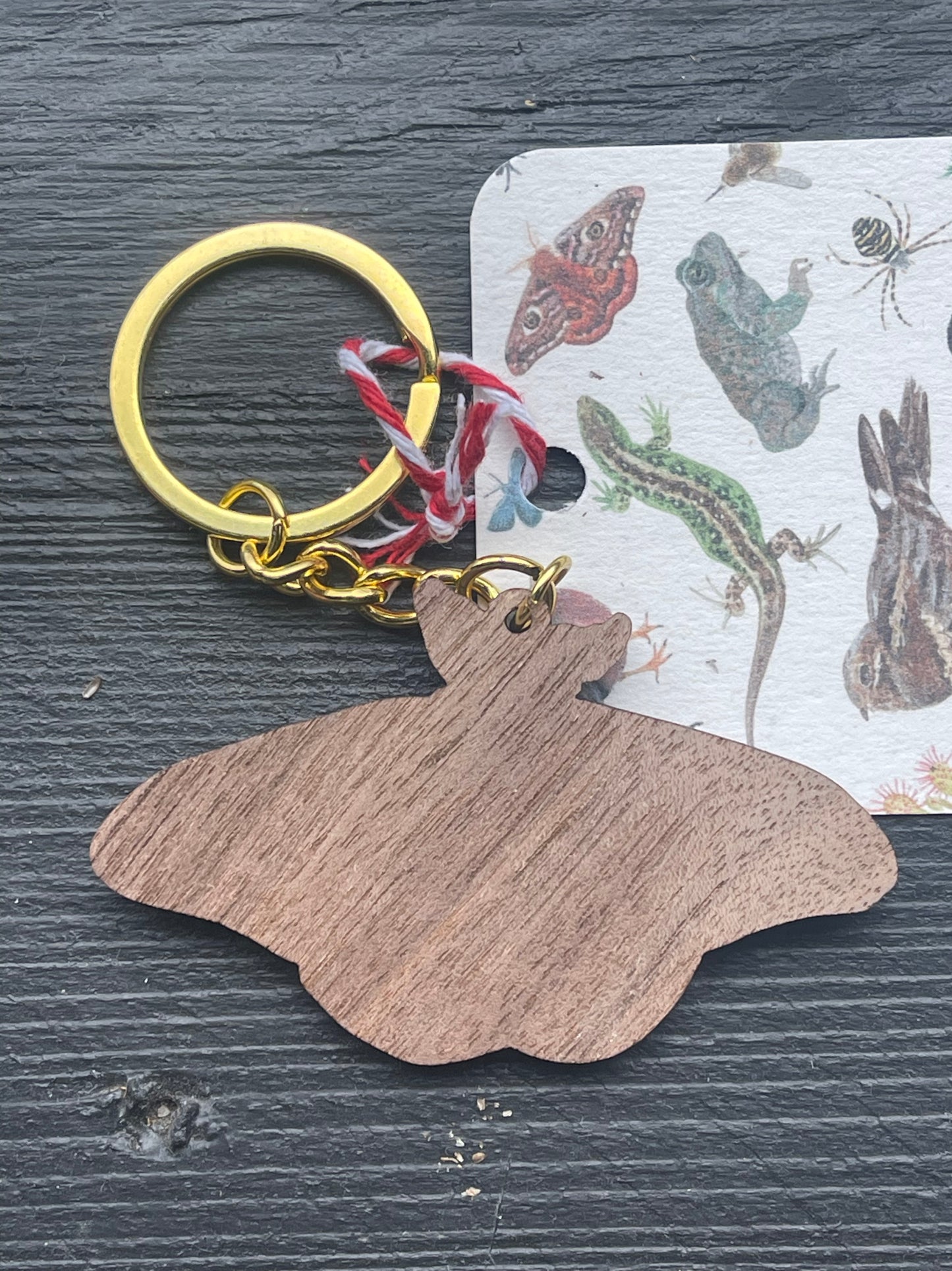 Emperor Moth Wooden Keyring by Viv Hughes
