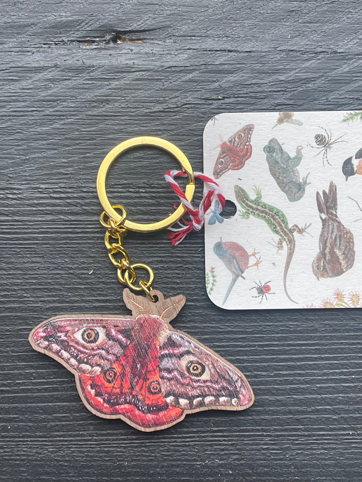 Emperor Moth Wooden Keyring by Viv Hughes