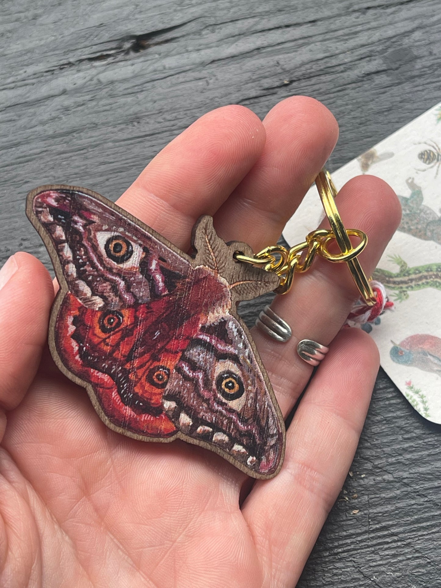 Emperor Moth Wooden Keyring by Viv Hughes