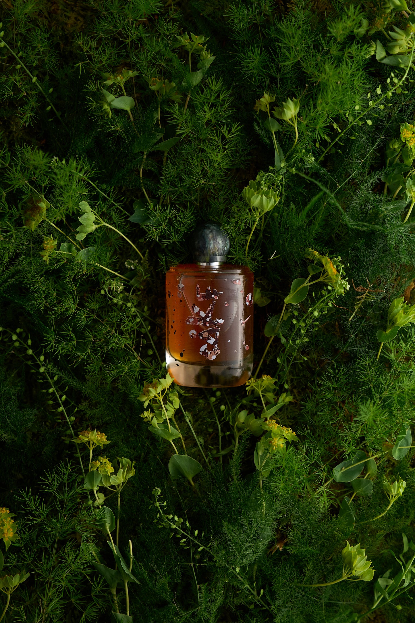Cåke by ånd fragrance