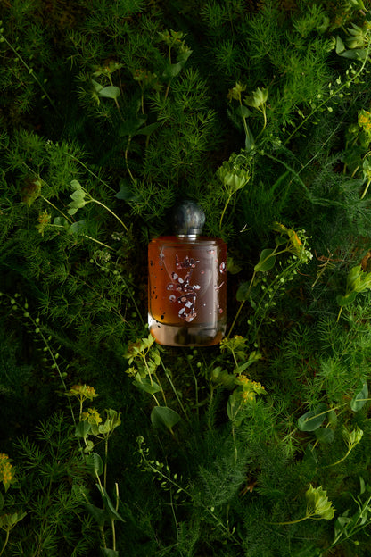 Cåke by ånd fragrance
