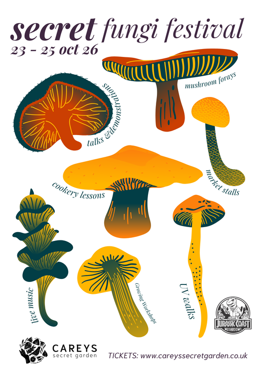 Secret Fungi Festival 2026