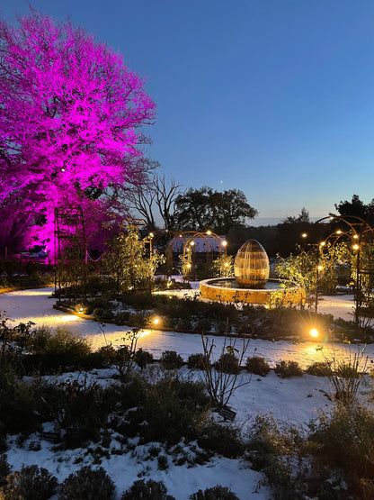 Enchanted Gardens Light Trail Winter 2025