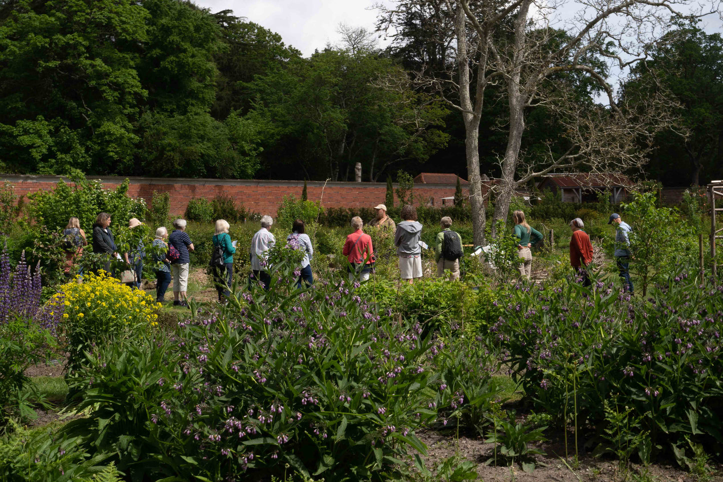 Gardening team giving a guided tour of Carey’s Secret Garden, sharing expert insights and showcasing the garden’s beauty and diverse plant life to an engaged group of visitors