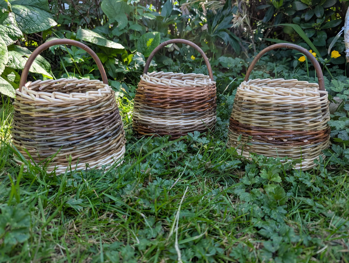 Beginners Basketry Course 16th May 2026