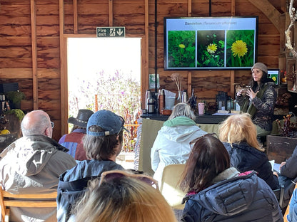 Meeting The Garden: Rose Herbalism Workshop Saturday 29th August
