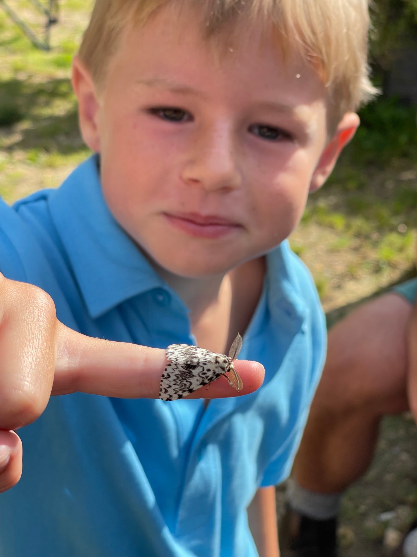 Moth Mania Saturday 23rd May